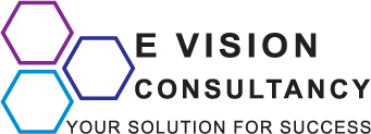 E Vision Consultancy